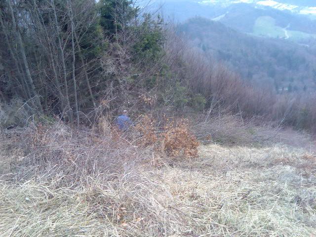 Mal ob strani